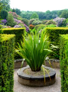 Terrace - Biddulph Grange Garden - Staffordshire, England - DSC09485