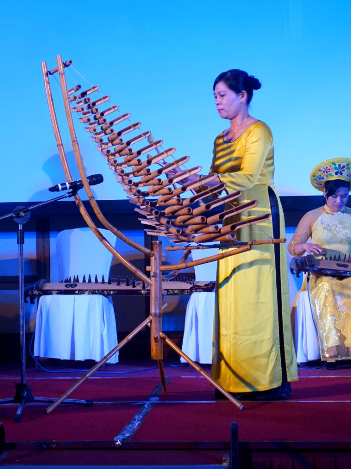 T'rung performance - Da Nang, Vietnam - DSC02193