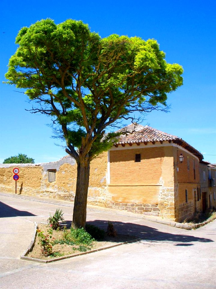 Támara de Campos 24