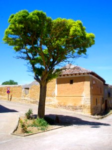 Támara de Campos 24