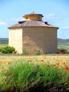 Támara de Campos 09