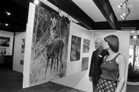 Tentoonstelling Met het oog op de natuur in Amstelpark, Bestanddeelnr 927-3952