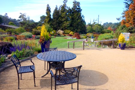 Terrace - Mendocino Coast Botanical Gardens - DSC01999