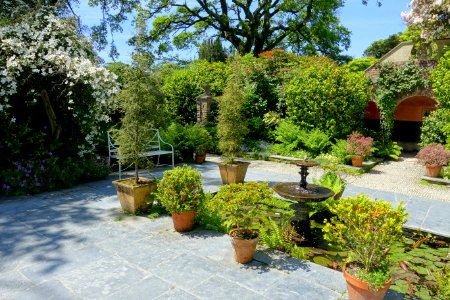 Terrace and fountain - Lost Gardens of Heligan - Cornwall, England - DSC02868 photo