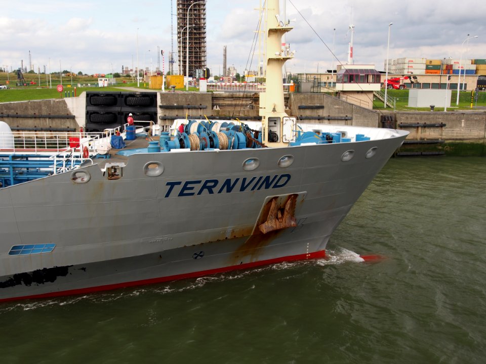 Ternvind (ship, 2008), IMO 9425356 - Callsign 9HLY9, Berendrechtsluis, Port of Antwerp pic5