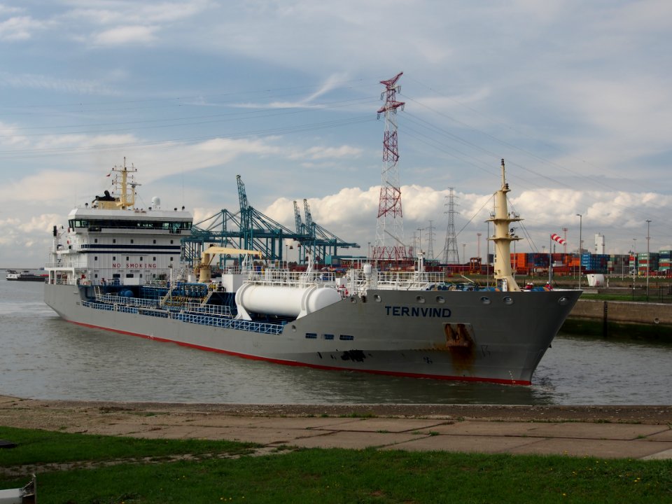 Ternvind (ship, 2008), IMO 9425356 - Callsign 9HLY9, Berendrechtsluis, Port of Antwerp pic1