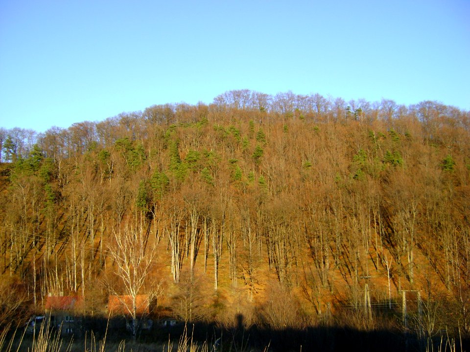 Szczawno-Zdrój, Wzgórze Sas (Pogórze Wałbrzyskie)