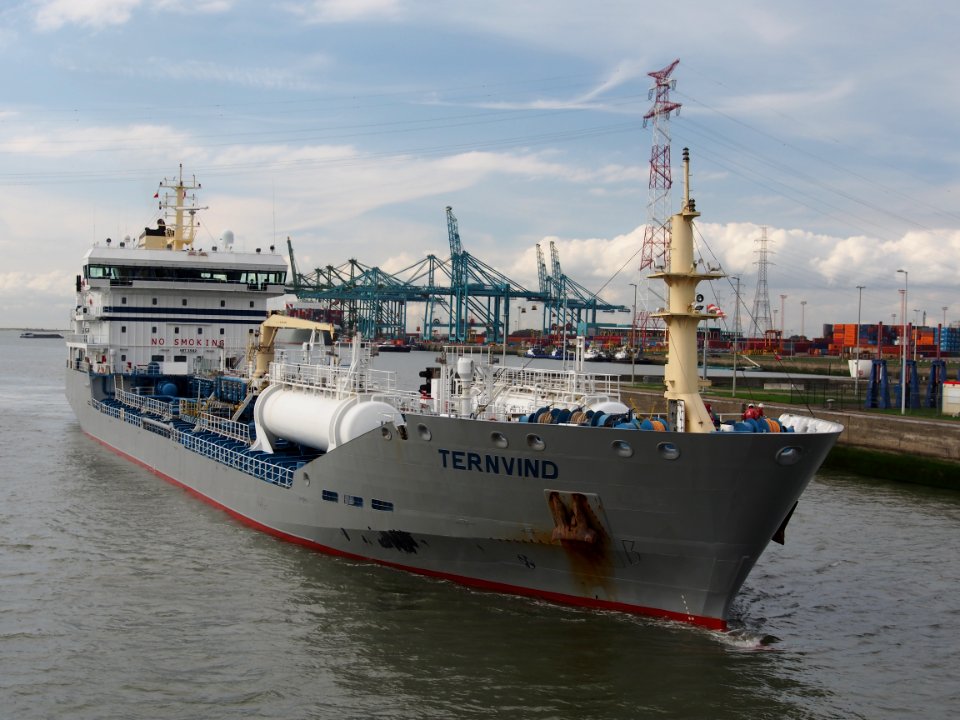 Ternvind (ship, 2008), IMO 9425356 - Callsign 9HLY9, Berendrechtsluis, Port of Antwerp pic2
