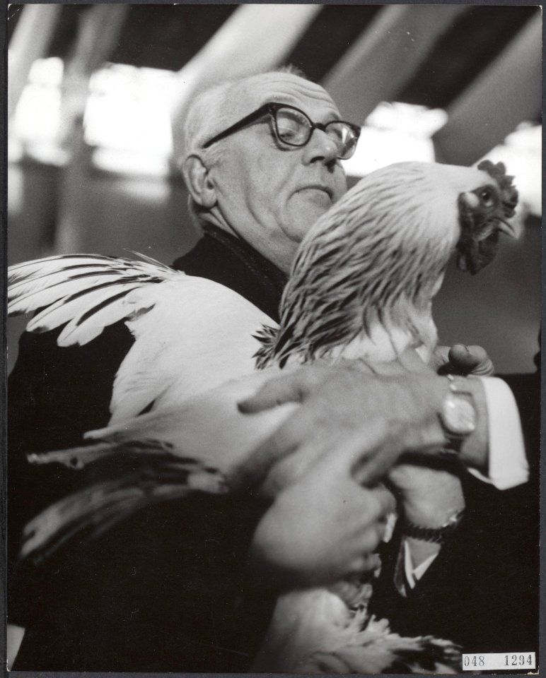 Tentoonstellingen, pluimvee, Avicultura, Bestanddeelnr 048-1294