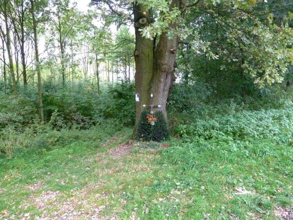 Terlinden-Hagelkruis Beutenakerweg-Koeheiweg