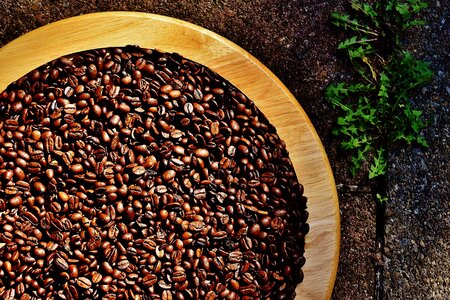 Roasted caffeine brown