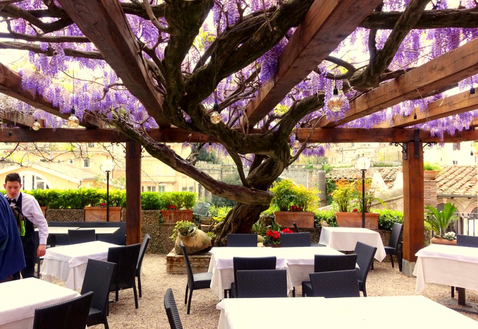 Terrace - Ristorante Sibilla - Tivoli, Italy - DSC03832