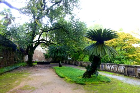 Terrace - Jardim Botânico da Universidade de Coimbra - Coimbra, Portugal - DSC08845