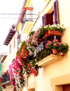 Tafalla - Balcón 08
