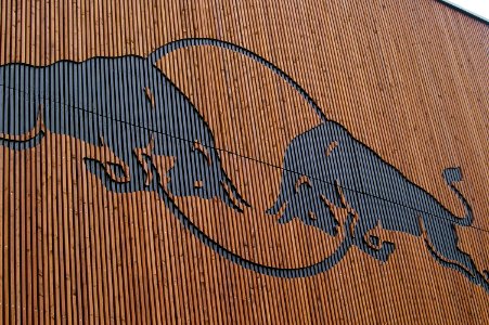 Tag der offenen Tür Red Bull Fußball- und Eishockeyakademie 16