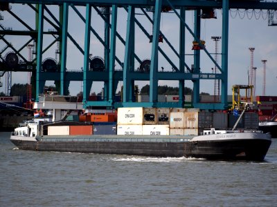 Terra Maris (ship, 2002), ENI 02325675, Port of Antwerp