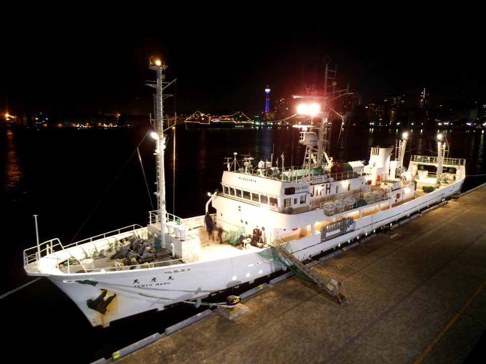 Tenyomaru3 a fishery research and training vessel of National Fisheries University at port of Yokohama at night