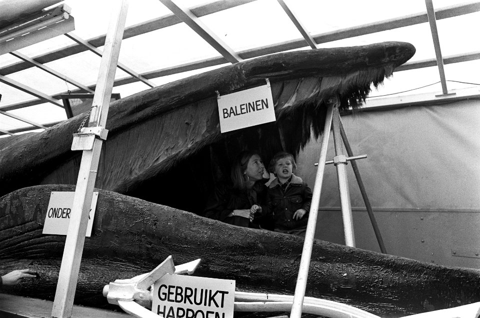 Tentoonstellingen, Bestanddeelnr 927-9312