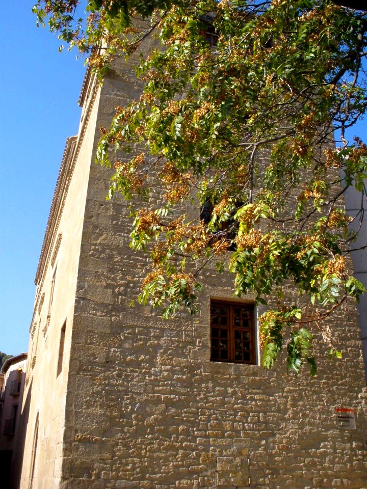 Tafalla 36