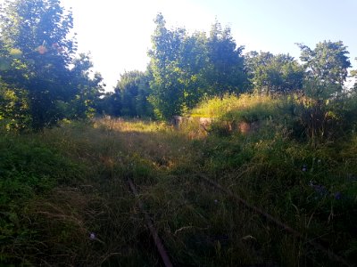 Teren dawnej stacji kolejowej Lubomia