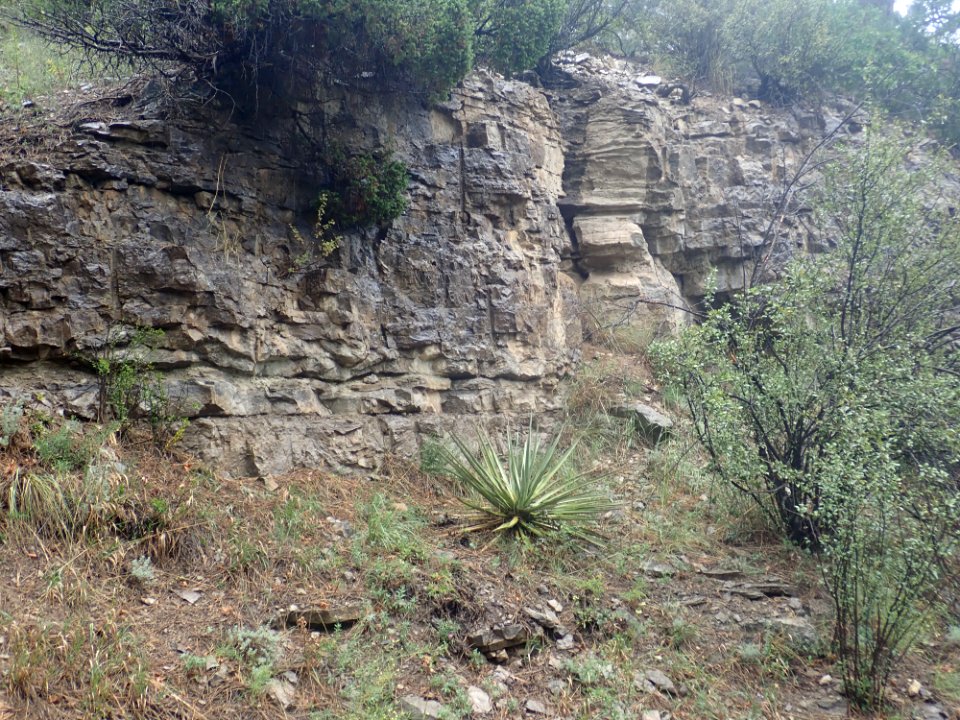 Tererro Formation photo