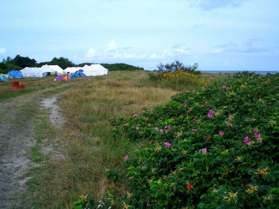 Tents from the camp in Femø
