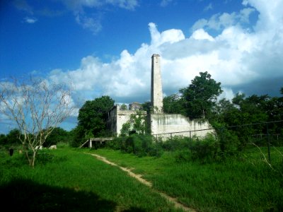 Tepich Carrillo, Yucatán (05)