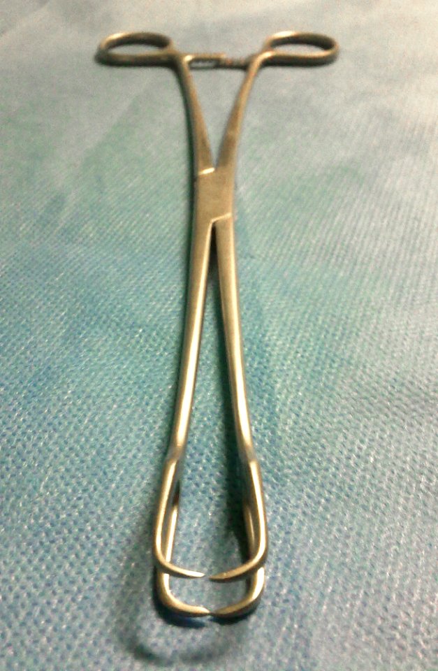Tenuculum 0
