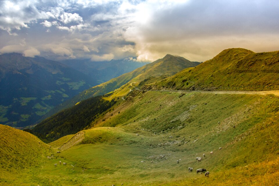 Italian summer hill