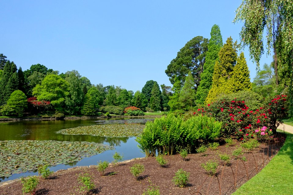 Ten Foot Pond - Sheffield Park and Garden - East Sussex, England - DSC05418