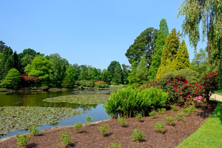 Ten Foot Pond - Sheffield Park and Garden - East Sussex, England - DSC05418