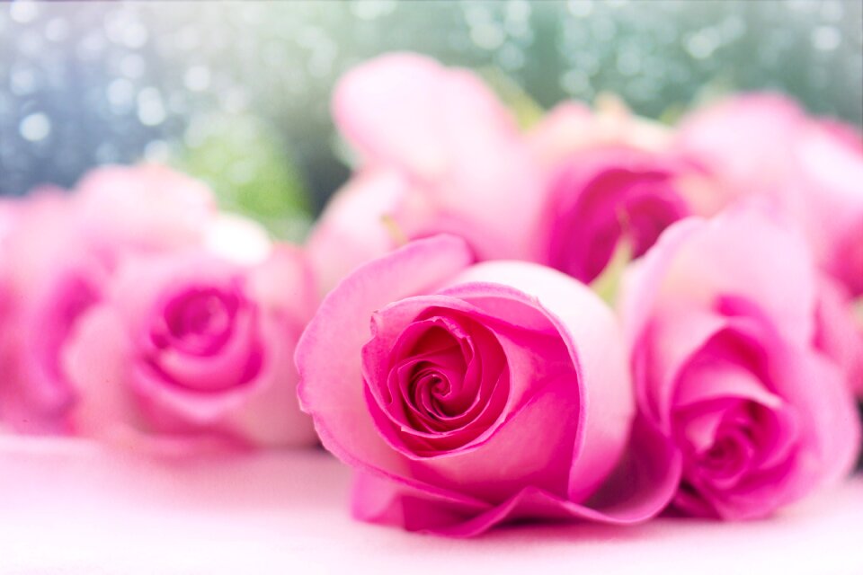Romance romantic love