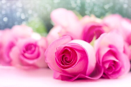 Romance romantic love