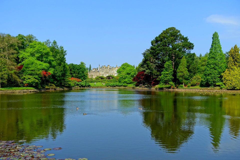 Ten Foot Pond - Sheffield Park and Garden - East Sussex, England - DSC05452
