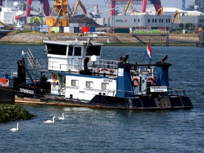 Terbregge - ENI 02313823, Welplaathaven, port of Rotterdam