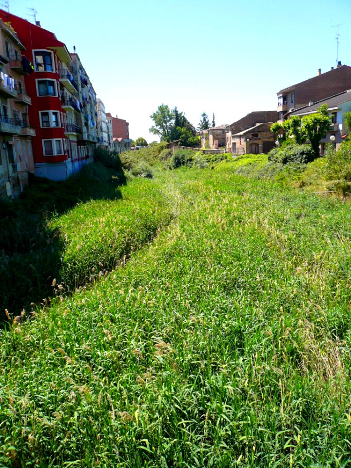 Tafalla - Río Cidacos 1