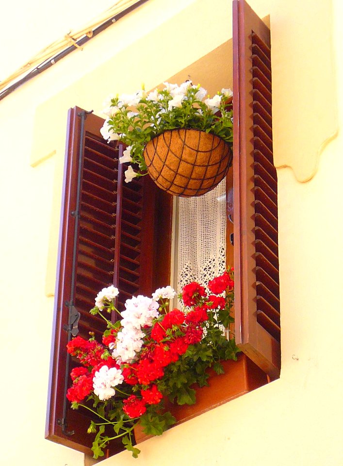 Tafalla - Ventanas 2