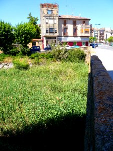 Tafalla - Río Cidacos 3
