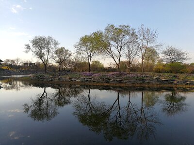 Spring lake reflection photo
