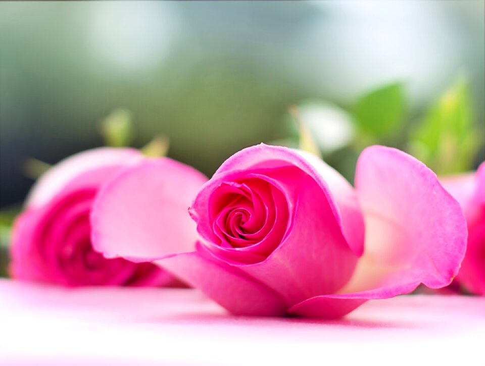 Romance romantic love