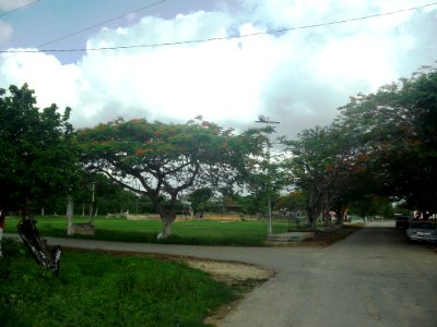 Tepich Carrillo, Yucatán (08)