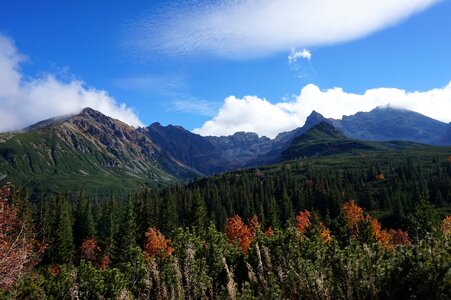 Nature tatry trail photo