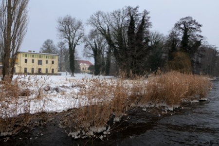 Templiner See from Caputh with snow 2021-02-07 17