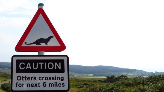 Animals street sign risk