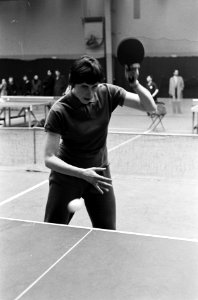 Tafeltenniskampioenschappen in de Haagse Houtrusthallen, Bestanddeelnr 914-9852