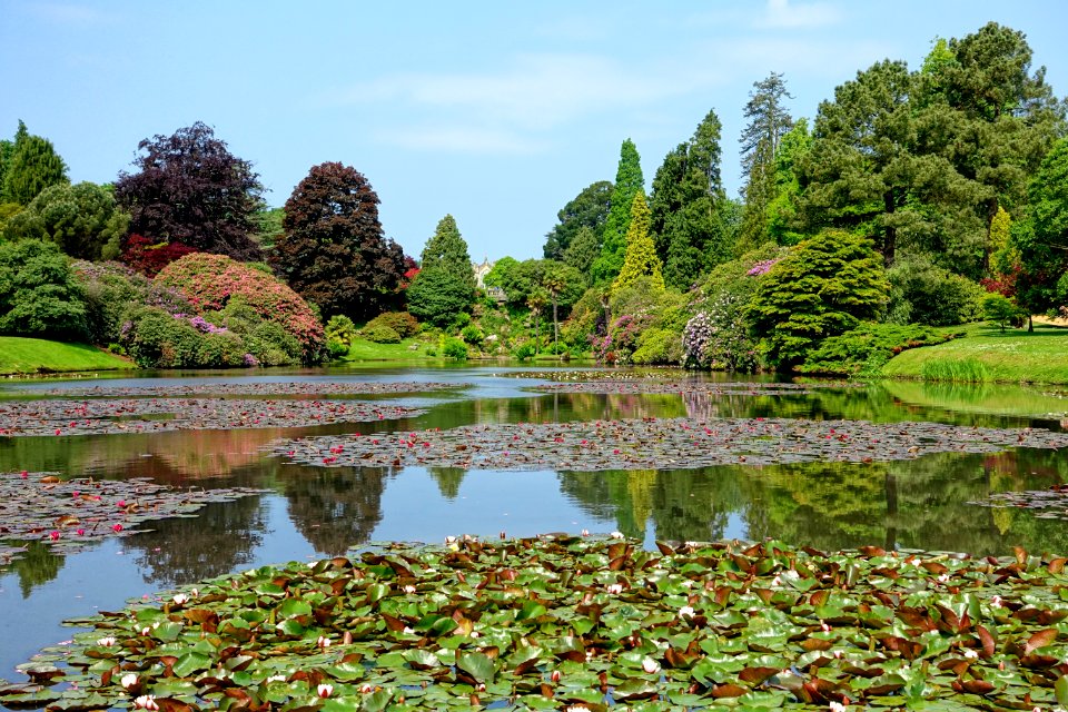 Ten Foot Pond - Sheffield Park and Garden - East Sussex, England - DSC05520