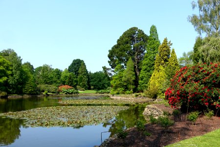 Ten Foot Pond - Sheffield Park and Garden - East Sussex, England - DSC05429