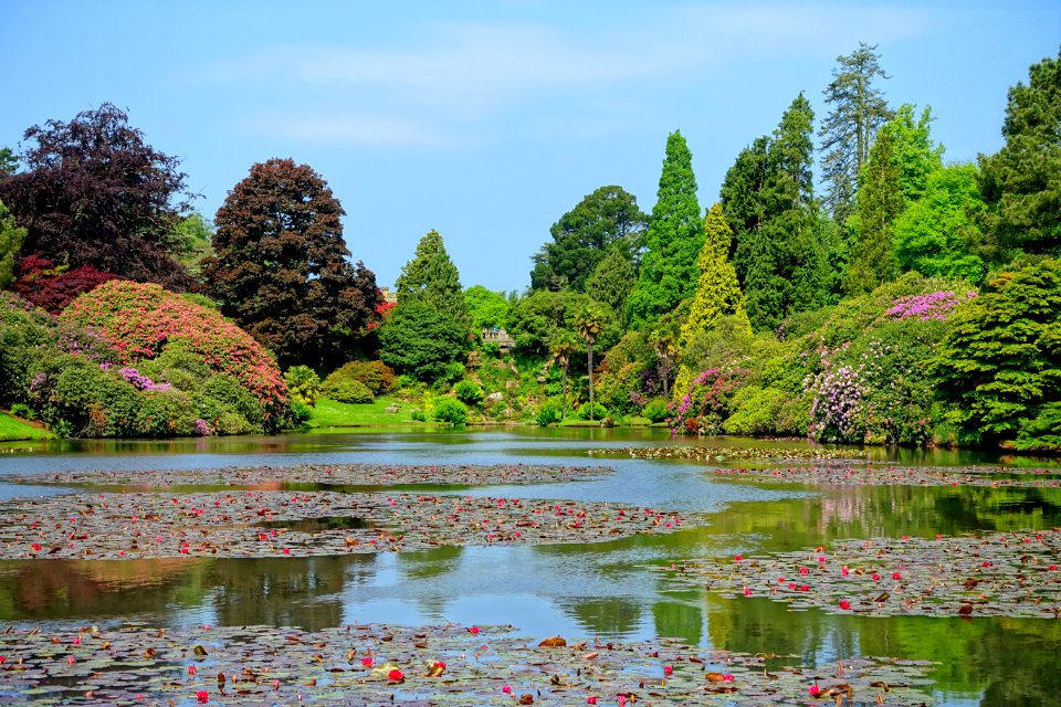 Ten Foot Pond - Sheffield Park and Garden - East Sussex, England - DSC05524