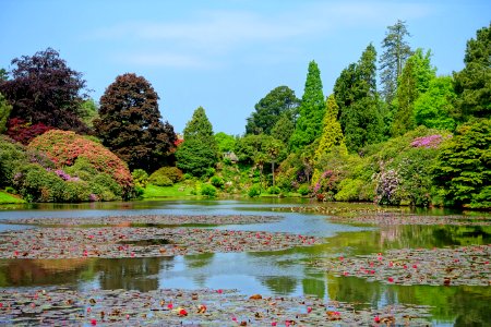 Ten Foot Pond - Sheffield Park and Garden - East Sussex, England - DSC05524