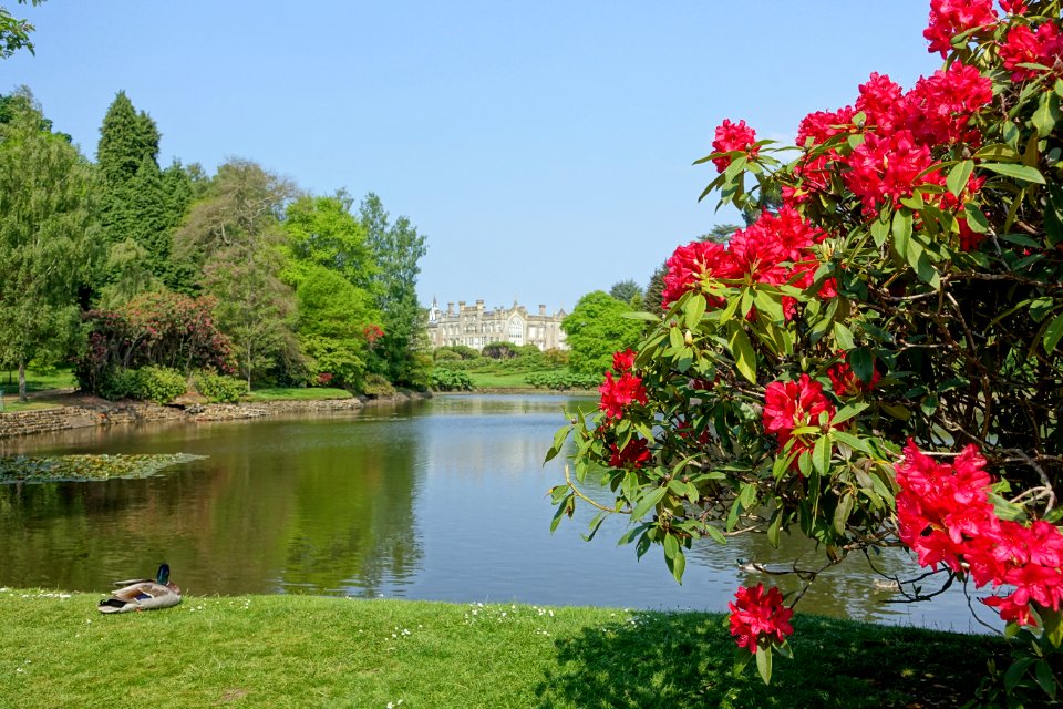 Ten Foot Pond - Sheffield Park and Garden - East Sussex, England - DSC05463